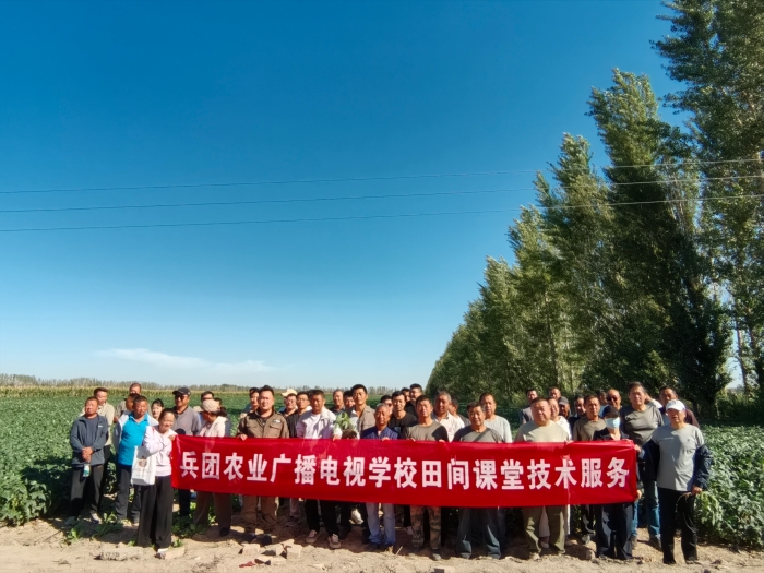 兵团农业广播电视学校田间课堂技术服务2 兵团农业广播电视学校田间课堂技术服务2