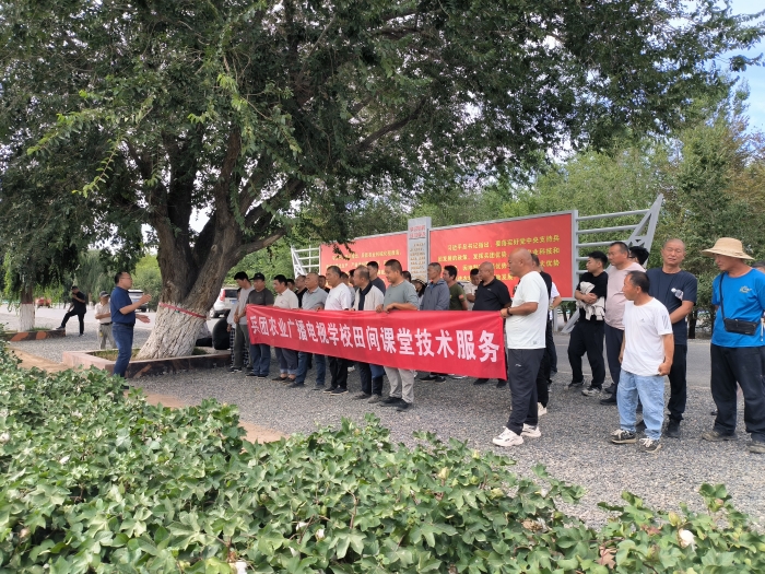 兵团农业广播电视学校田间课堂技术服务4 兵团农业广播电视学校田间课堂技术服务4