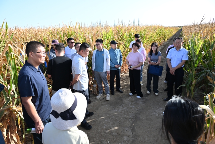 兵团召开2026年基层农技推广体系建设工作交流研讨会 兵团召开2026年基层农技推广体系建设工作交流研讨会